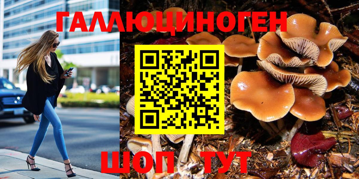 Псилоцибиновые грибы Psilocybe  Вход с VPN  Нефтеюганск  Псилоцибиновые грибы прущие грибы 